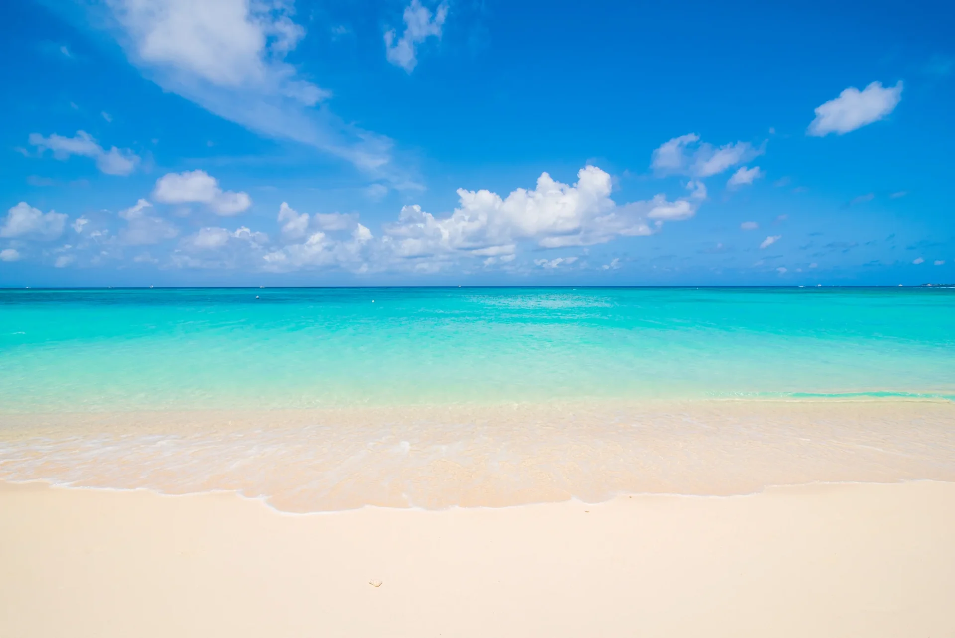 Blue Ocean Stock DocAbroad